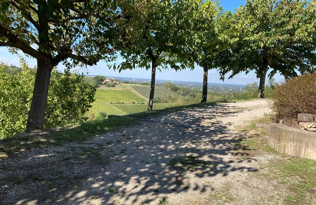 La Pasqualina B&B-1
